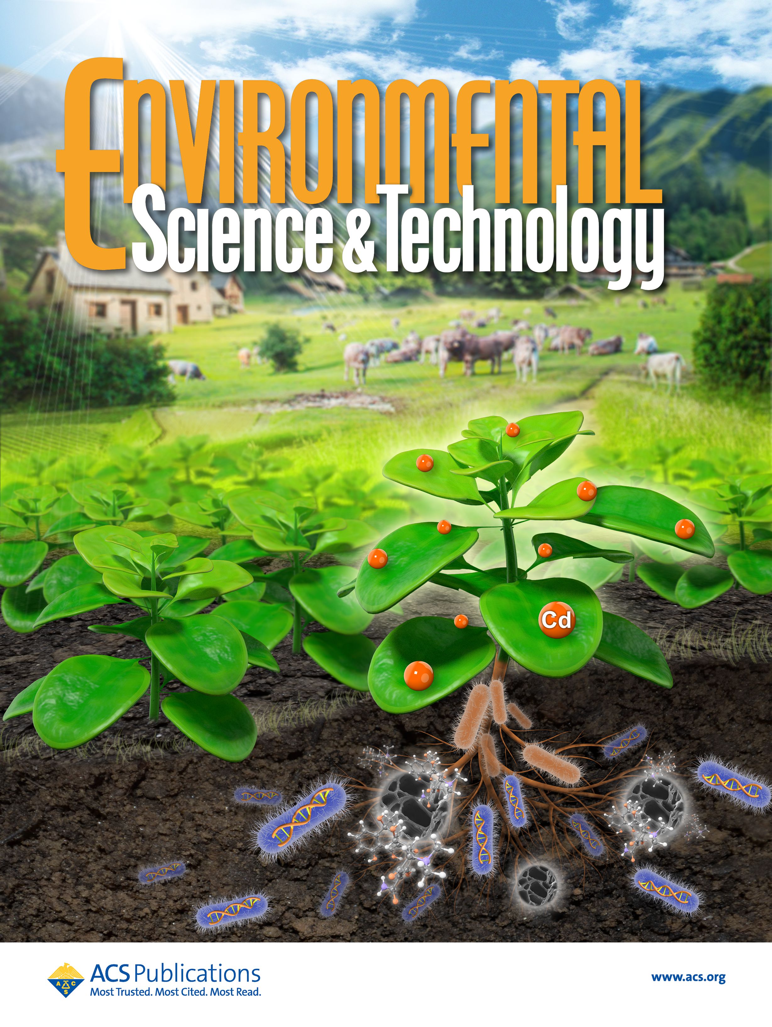 LetPub Journal Cover Art Design - Strategy for Mitigating Antibiotic Resistance by Biochar and Hyperaccumulators in Cadmium and Oxytetracycline Co-contaminated Soil